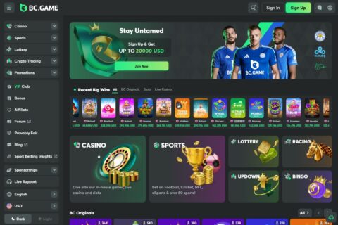 Découvrez Bcga.Me Une Nouvelle Dimension du Jeu en Ligne Découvrez Bcga.Me Une Nouvelle Dimension du Jeu en Ligne