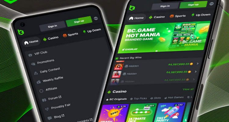 Discover the Thrills of bc.game casino Discover the Thrills of bc.game casino