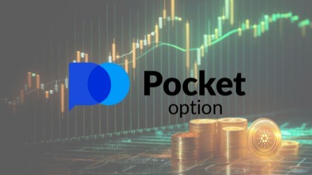 Pocket Option Platform Overview 43 Pocket Option Platform Overview 43